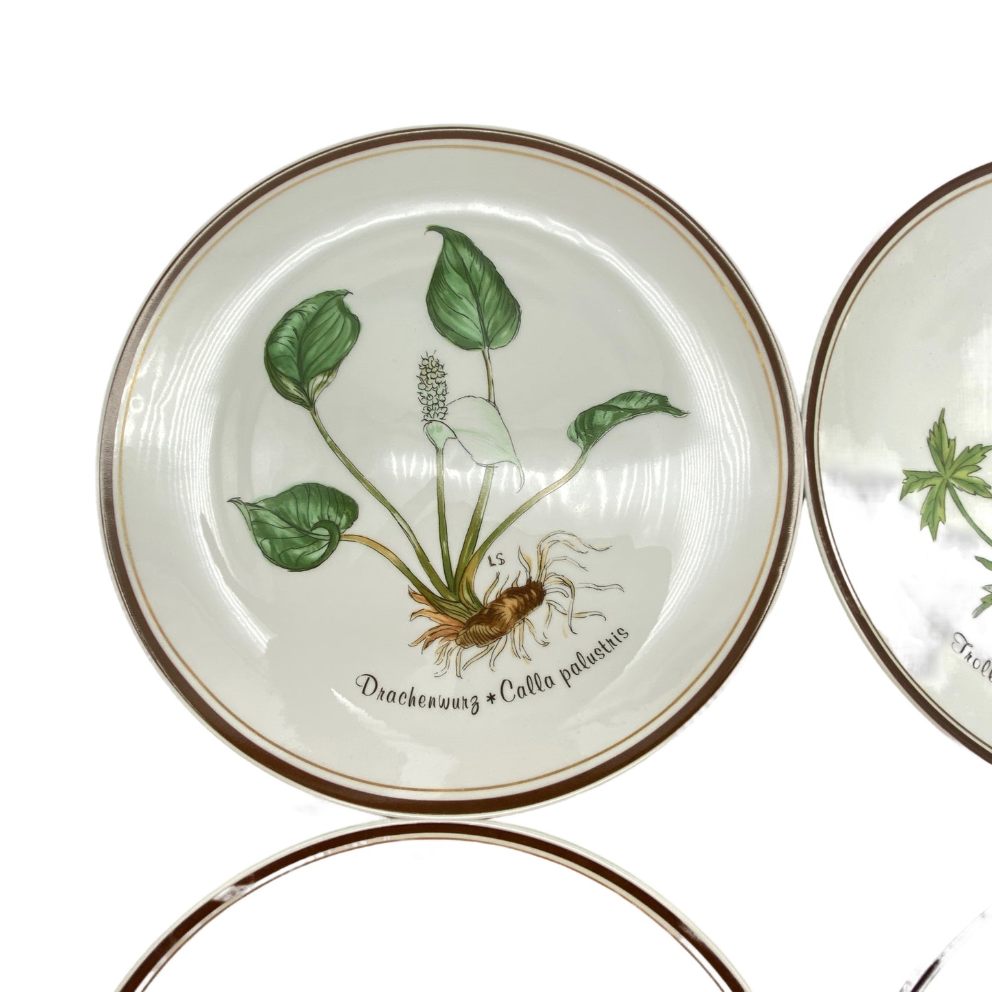 ROSENTHAL Teller `Aus Liebe zur Natur´ Porzellan Loki Schmidt
