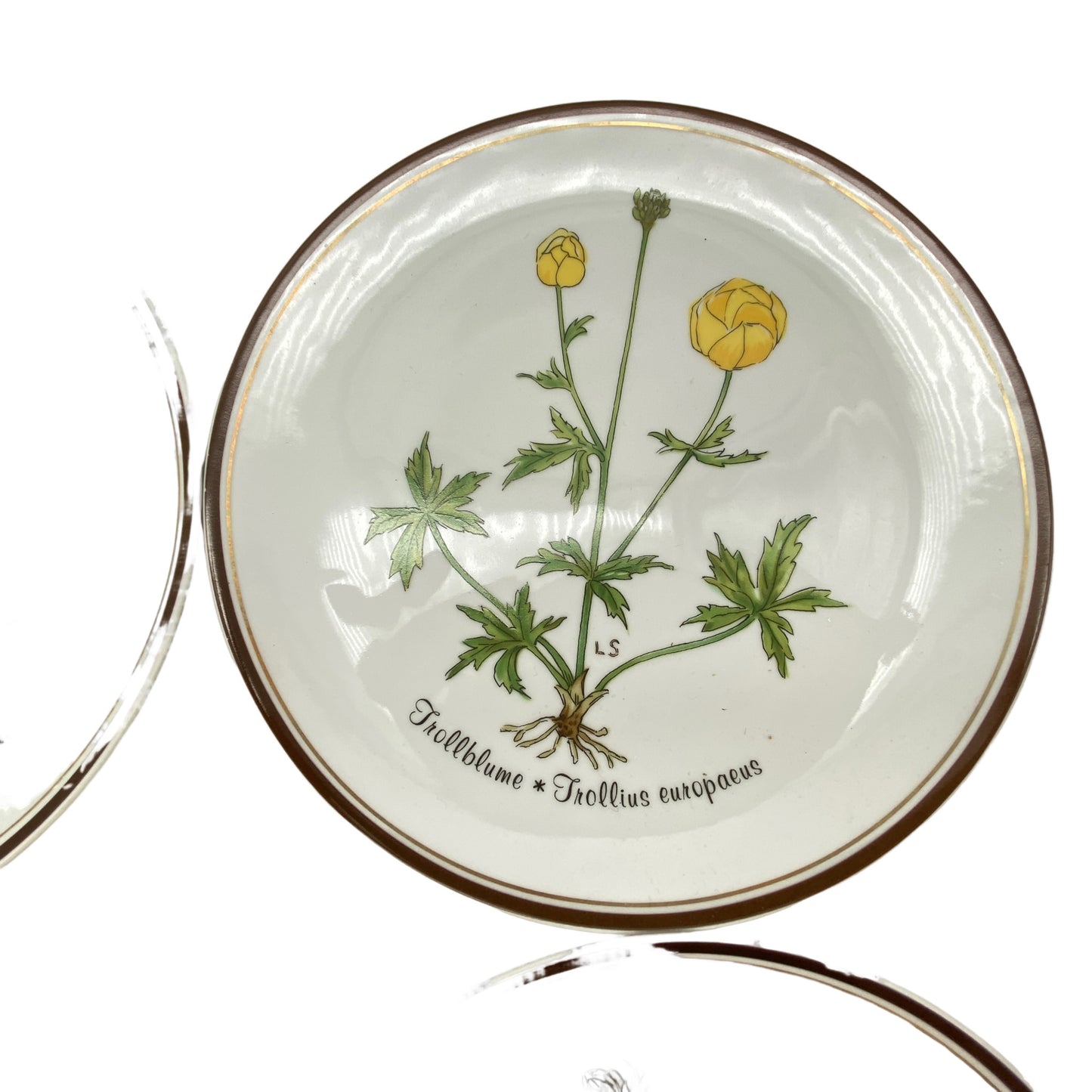 ROSENTHAL Teller `Aus Liebe zur Natur´ Porzellan Loki Schmidt