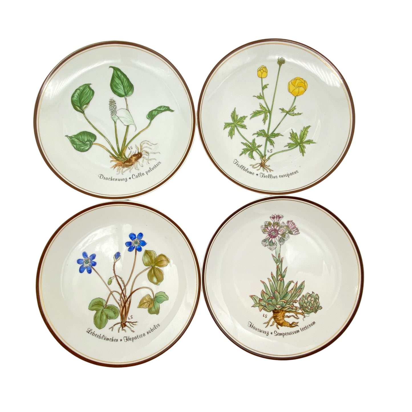 ROSENTHAL Teller `Aus Liebe zur Natur´ Porzellan Loki Schmidt