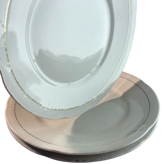 Porzellan BAVARIA  3 x Speiseteller 24 cm Teller Goldrand