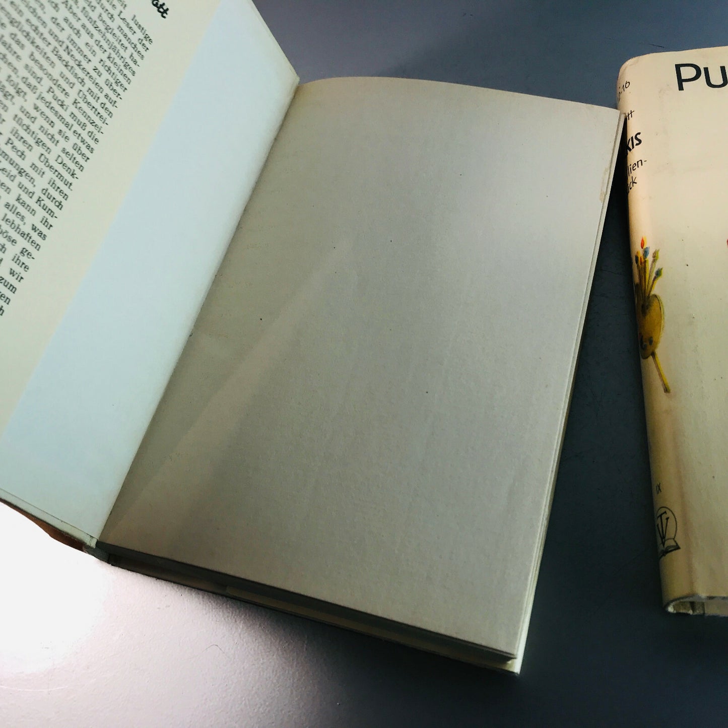 Familienglück & PUCKIS neue Streiche v. Magda Trott Jugendbücher