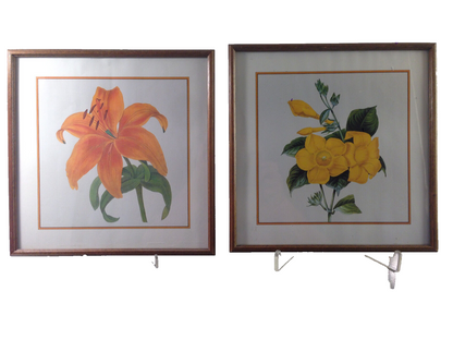 Gelbe Blumen Lilie Bild gerahmt 28 x 28 cm Bilderrahmen Holz