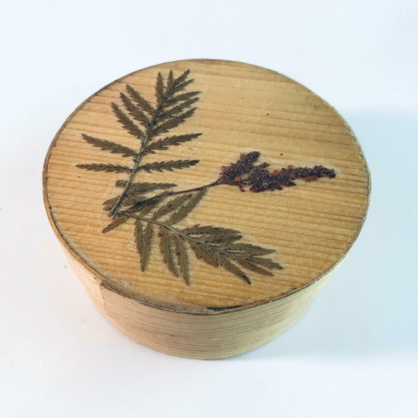 Murmeln in Spandose alt Schachtel Holzschachtel Konvolut Kugeln Glas