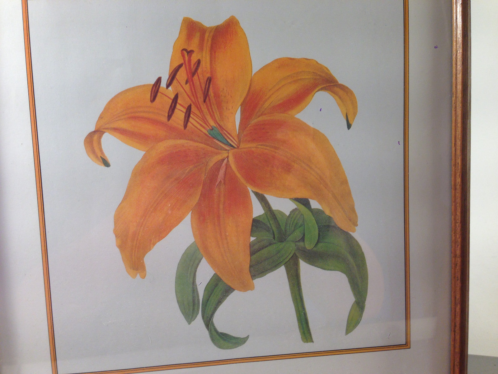 Gelbe Blumen Lilie Bild gerahmt 28 x 28 cm Bilderrahmen Holz