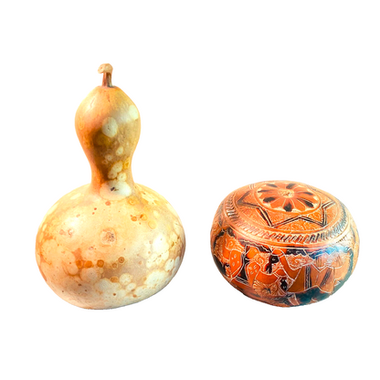 Regenstab Musikinstrument Riesel Kürbis Holz Musik D ca 13 cm