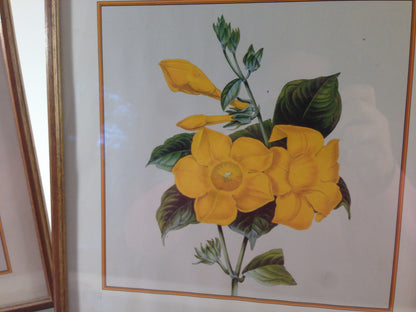 Gelbe Blumen Lilie Bild gerahmt 28 x 28 cm Bilderrahmen Holz