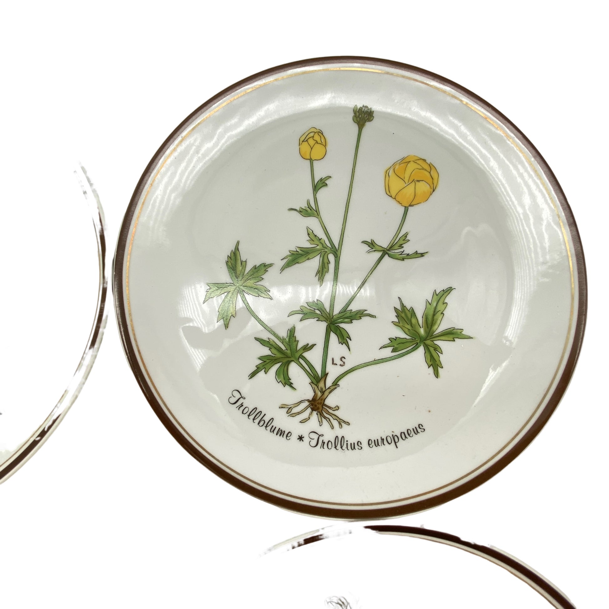 ROSENTHAL Teller `Aus Liebe zur Natur´ Porzellan Loki Schmidt