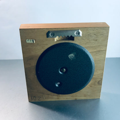 Hydrometer mit Thermometer Wetterstation Holz 50er 60er 30cm